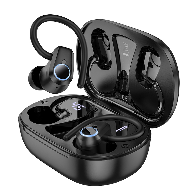 Hoco EQ8 In Ear True Wireless BT Earbuds