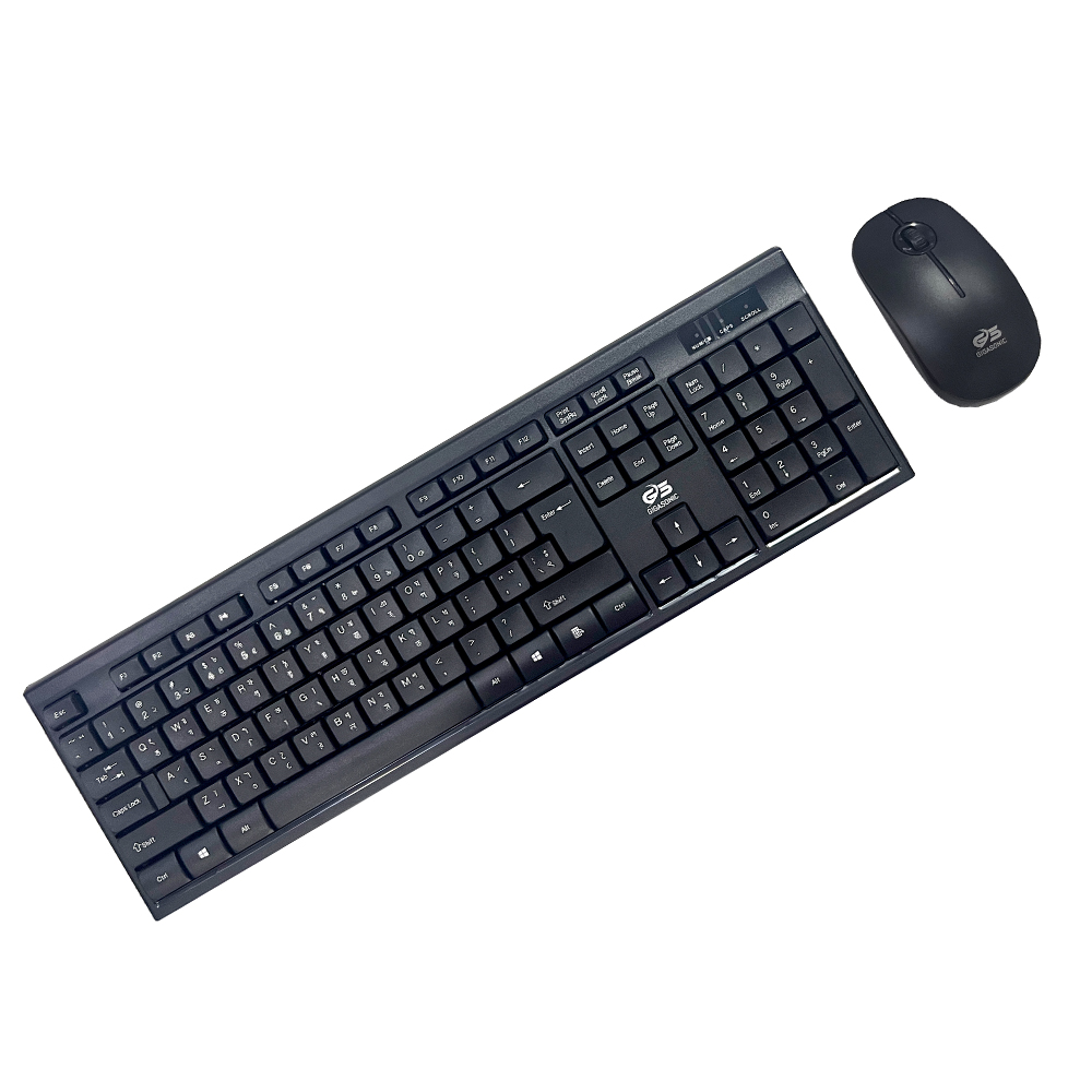 GIGASONIC WLC666GS Wireless Combo